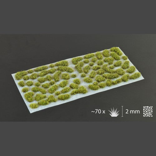 GamersGrass: 2MM Tufts
