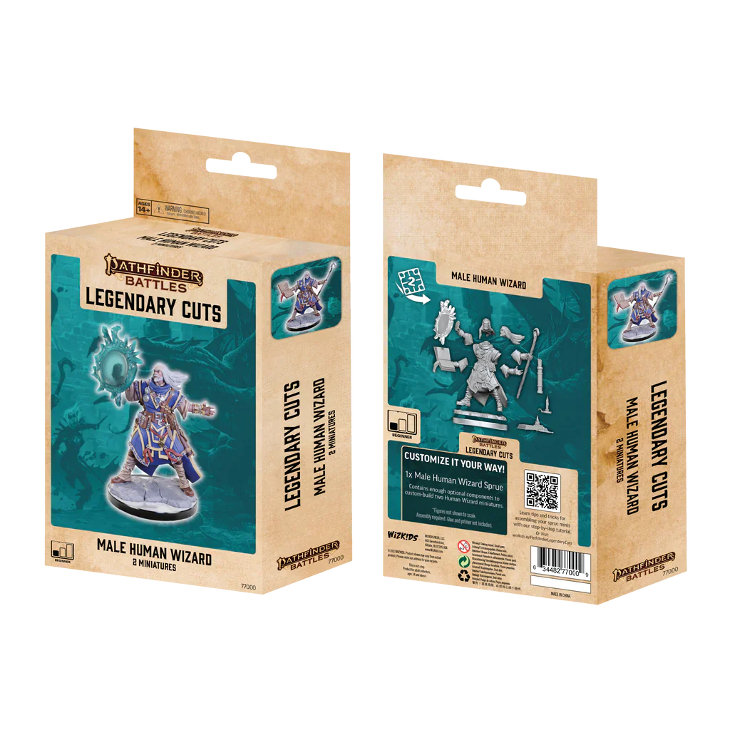 Pathfinder Legendary Cuts: Male Human Wizard