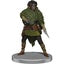 Dungeons & Dragons: Icons of the Realms Dragonlance - Warrior Set