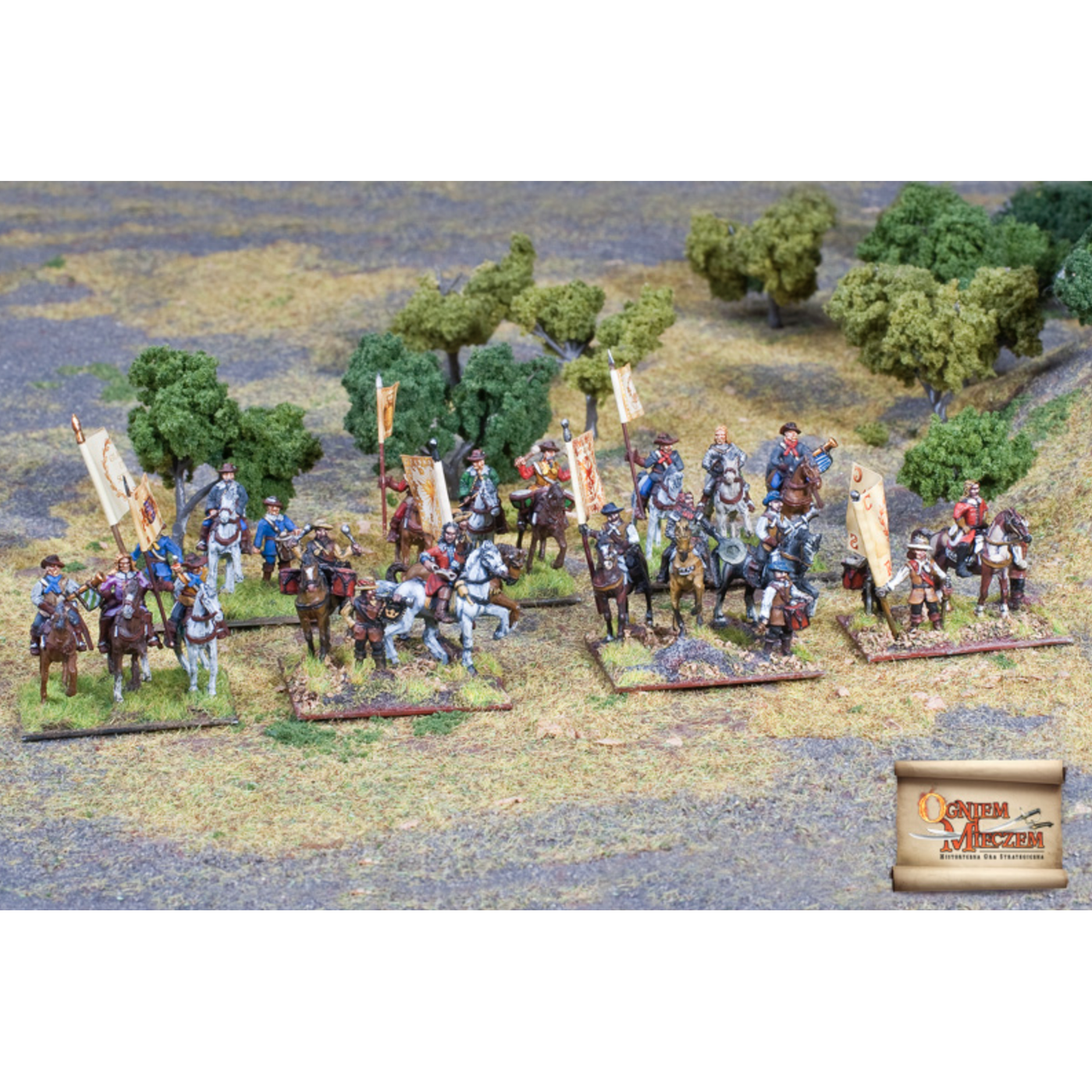 Swedish High Command By Fire and Sword