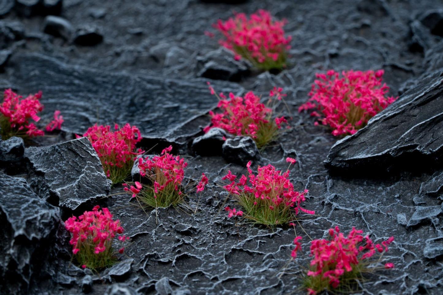GamersGrass: Flowers (Wild)