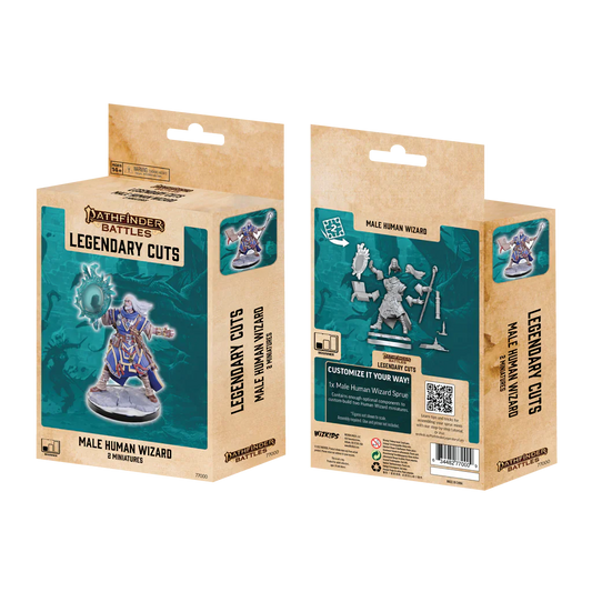 Pathfinder Legendary Cuts: Male Human Wizard