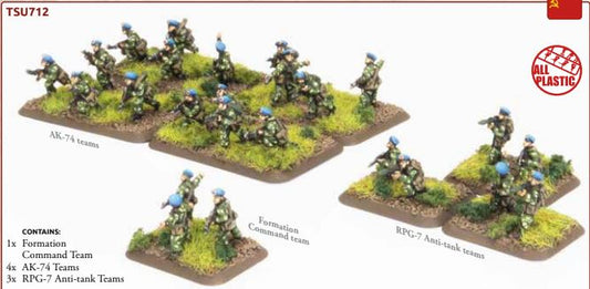 WWIII: Team Yankee Soviet Air Assault Platoon
