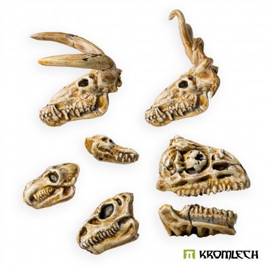 Beast Skulls (11)