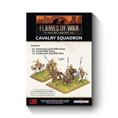 FOW Polish Cavalry Squadron