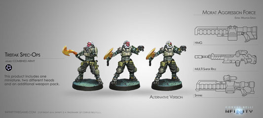 Combined Army Treitak Spec-Ops